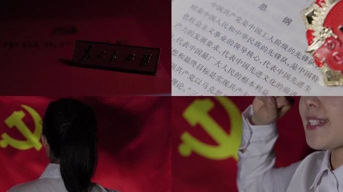 4K中国共产党章程 入党宣誓誓词党政红色