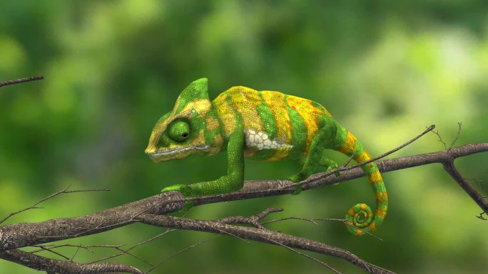 热带雨林 变色龙 蜥蜴 爬行动物 3D
