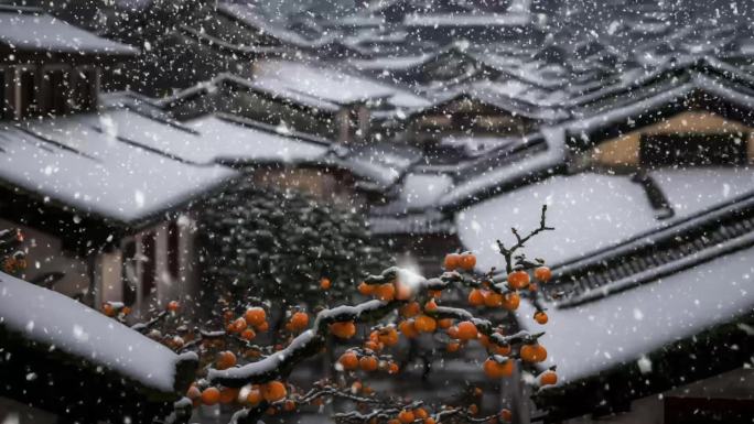 冬日飘雪 屋顶积雪