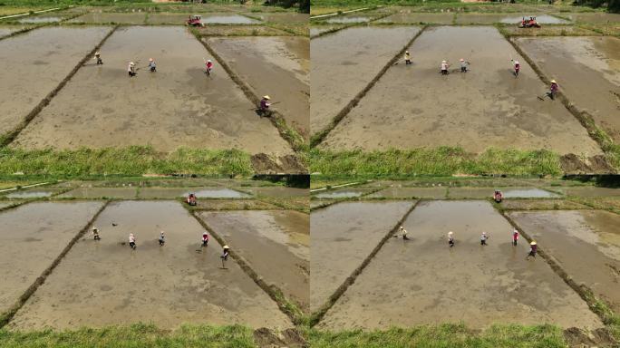 拖拉机耕田耕地