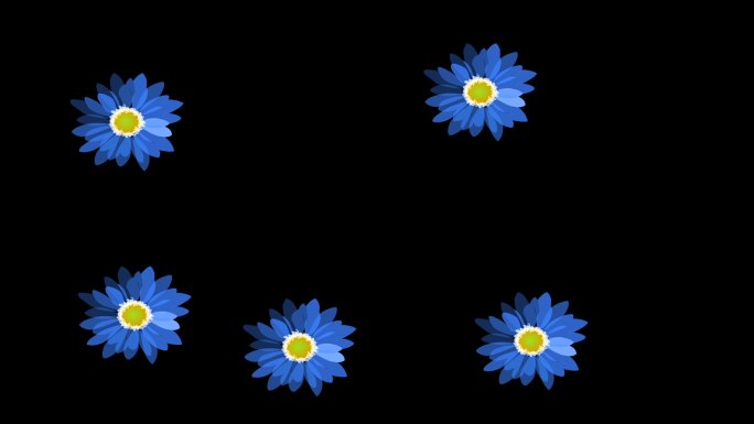蓝色小雏菊花朵背景