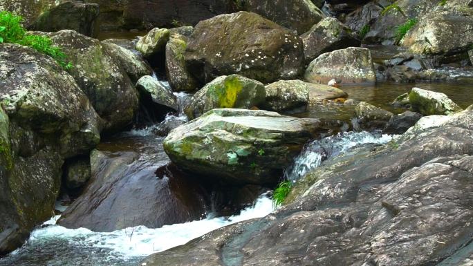 水 溪流 山泉水 溪水 溪流 水资源河流