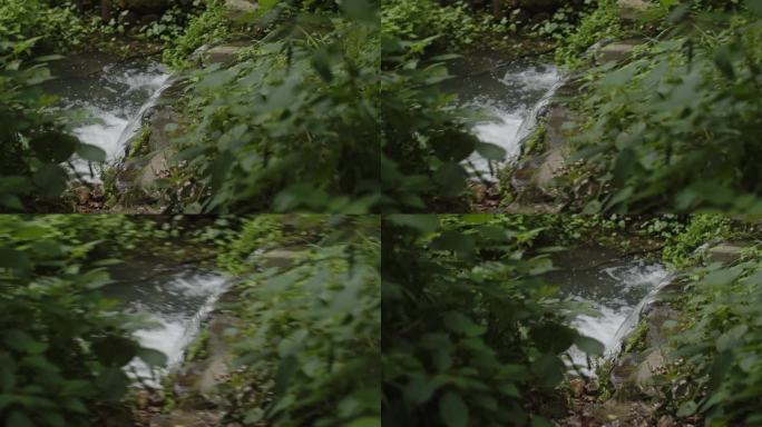 4K 大自然溪流