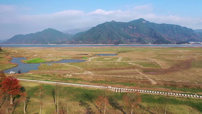 长潭水库红杉