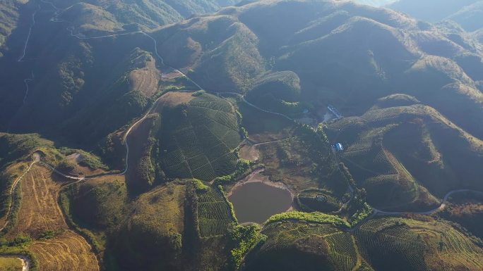 航拍高山茶园基地9