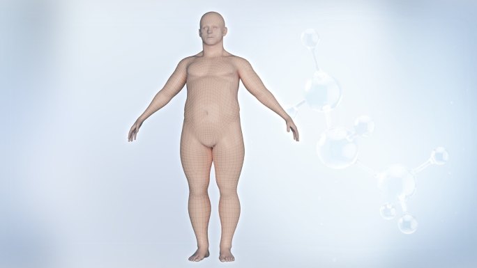 AE工程瘦身 减肥肥胖