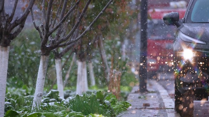 下雪初雪春雪 人车系列