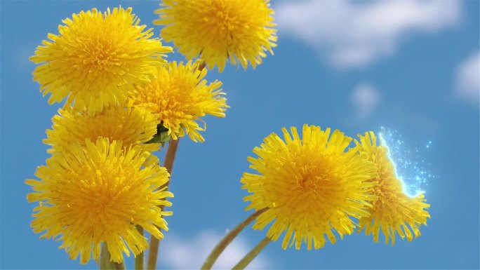 粒子消散模板 可做人物消散