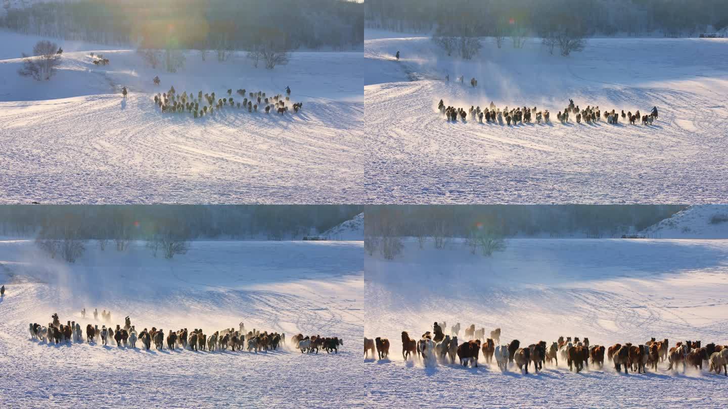 内蒙坝上雪地跑马