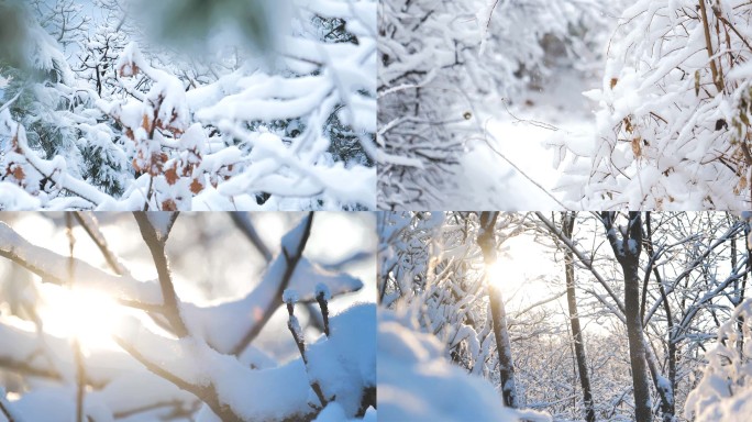 冬季美丽雪景