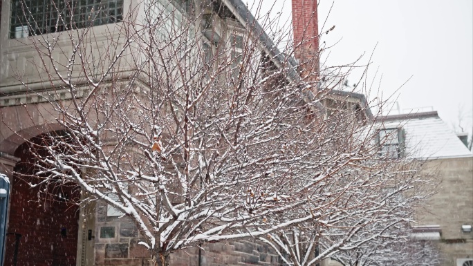 剑桥大学雪景19