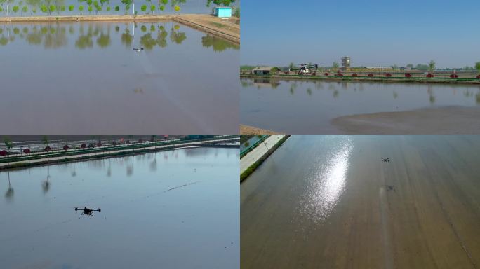 春季 稻渔空间 播种 无人机 智能农业