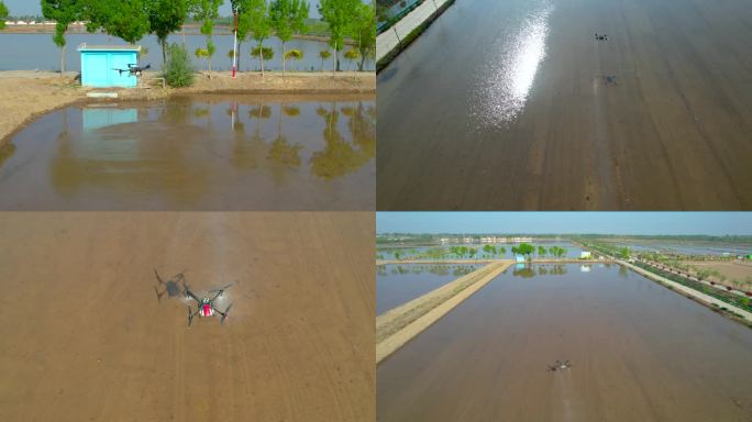 春季 稻渔空间 播种 无人机 智能农业
