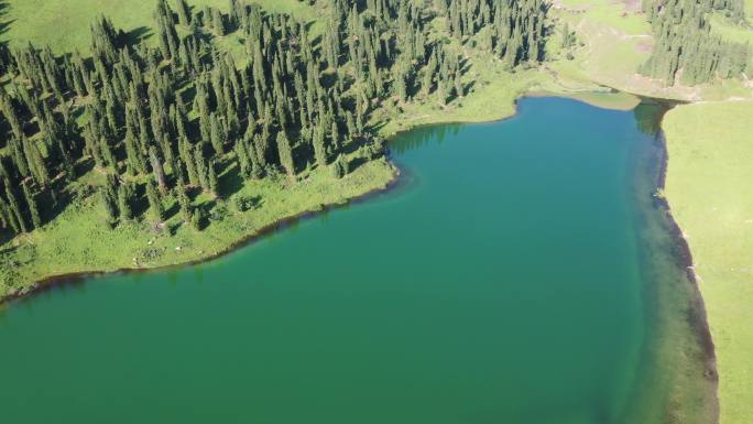 航拍新疆尼勒克县唐布拉草原的仙女湖风光