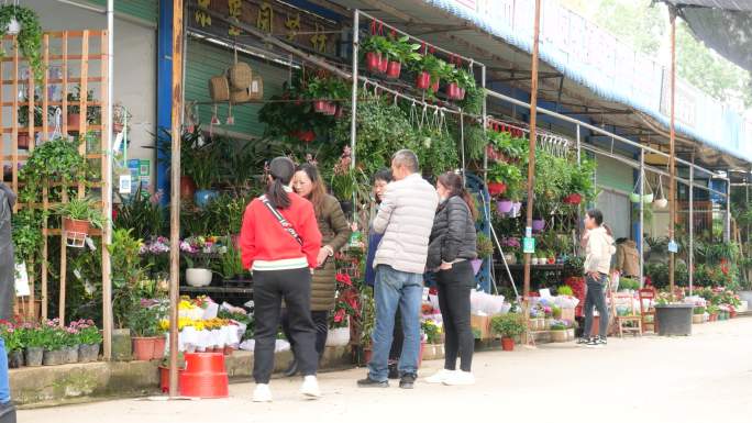 花卉市场
