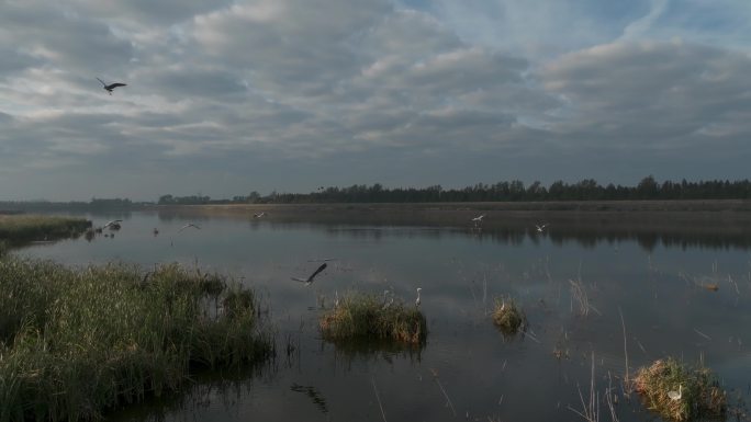 钱塘新区江海湿地