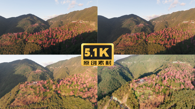 5K-南涧无量山樱花谷日出风光航拍