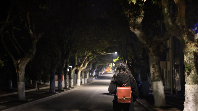 4k夜晚深夜女生学生背影雪夜独自行走失恋