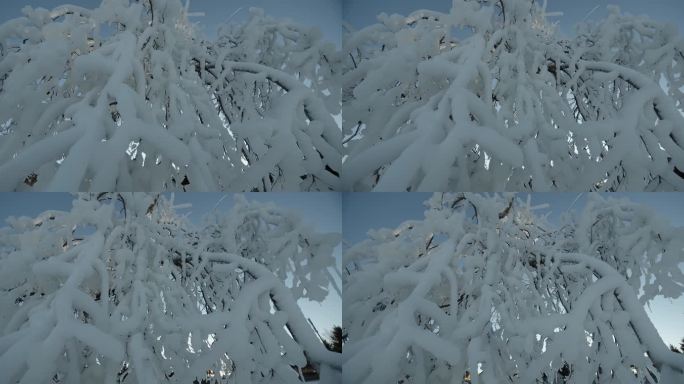 【4K】东北雾凇北方雪景