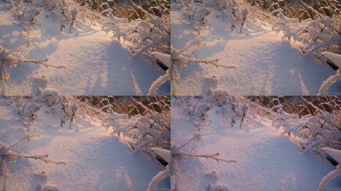 8K 雪景 雪 日落