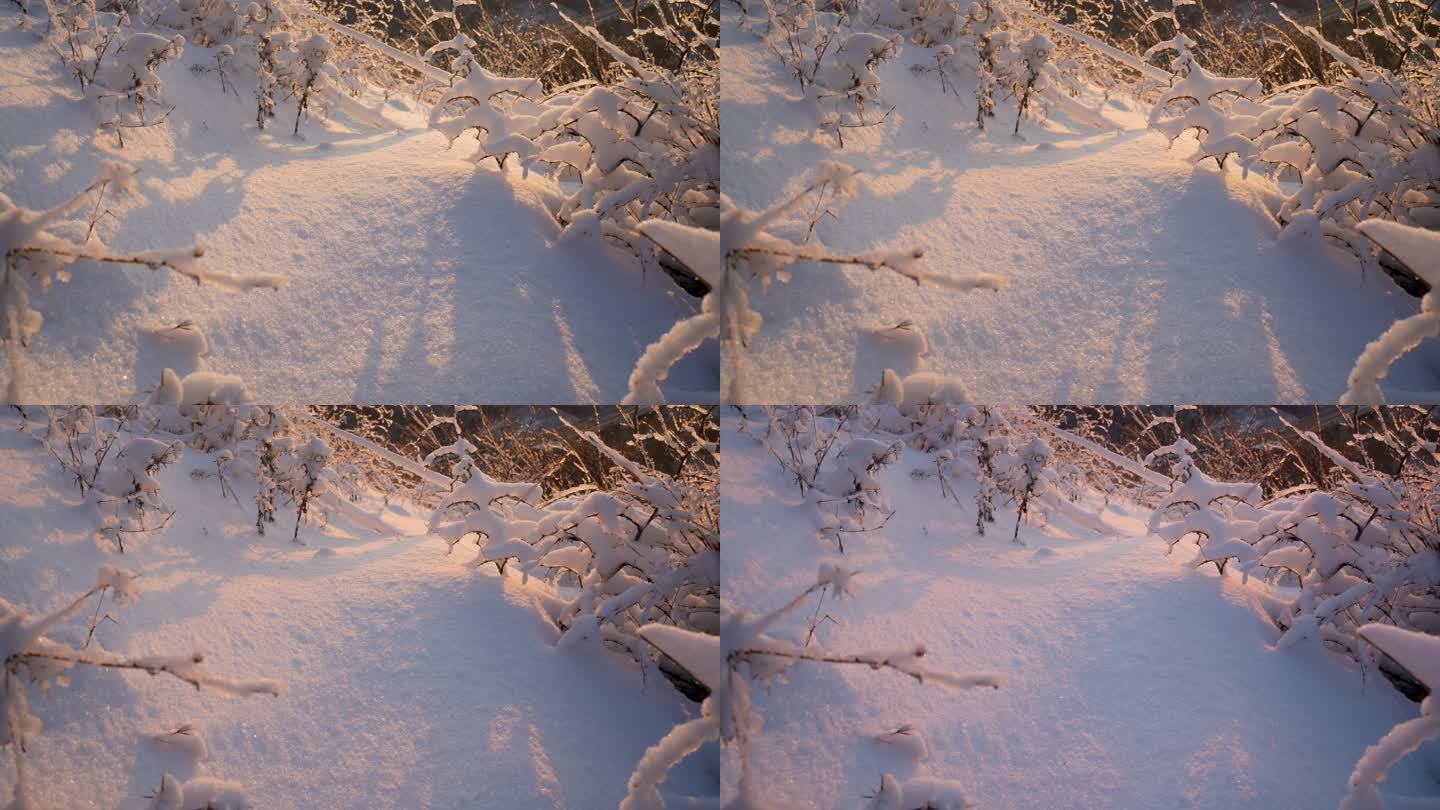 8K 雪景 雪 日落