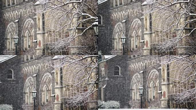 剑桥大学雪景9