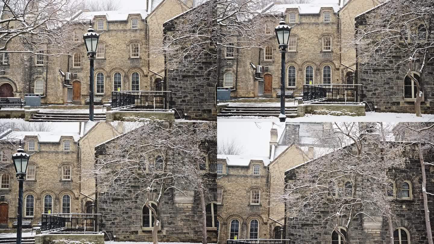 剑桥大学雪景15
