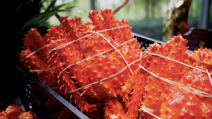 自助餐海鲜海鲜龙虾蟹肉餐厅美食刺身帝王蟹