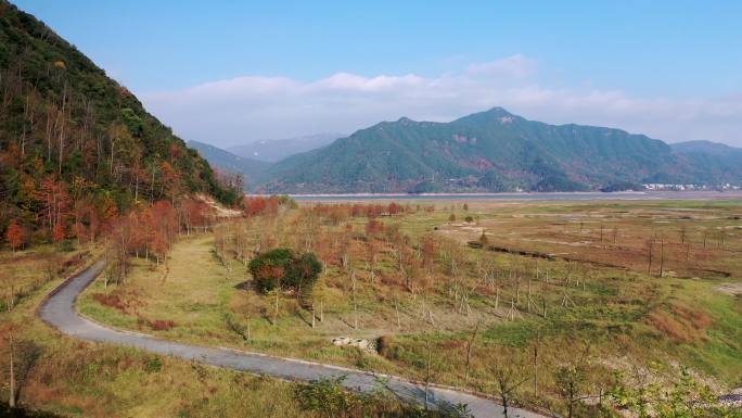 长潭水库红杉