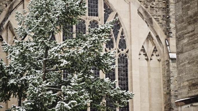 剑桥大学雪景6