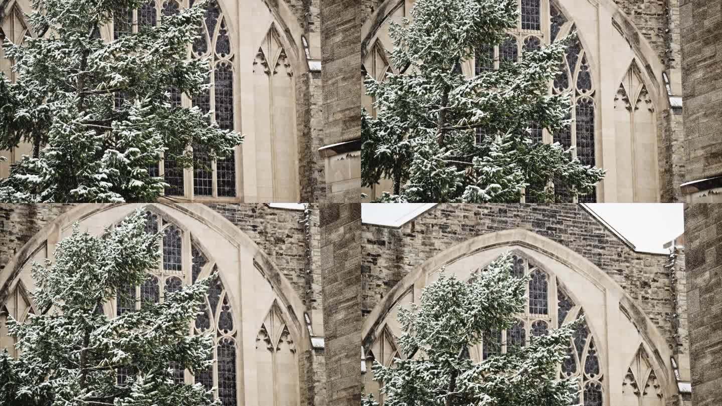 剑桥大学雪景6