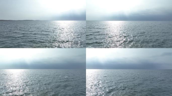 青海湖旅游景点 航拍 宣传片 青海 天鹅