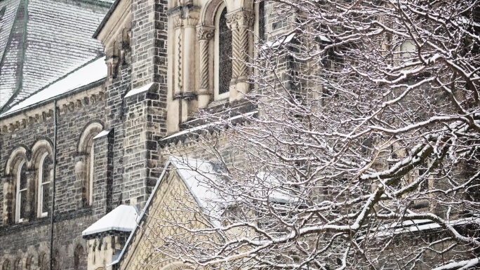 剑桥大学雪景7