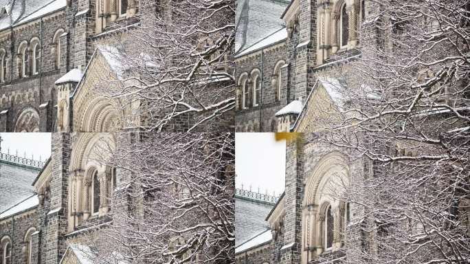 剑桥大学雪景7