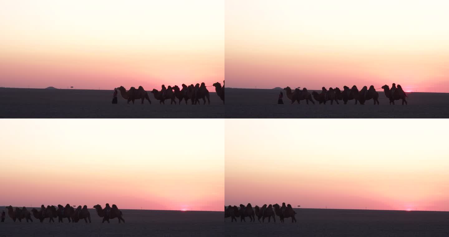 夕阳 骆驼队 归来 晚霞