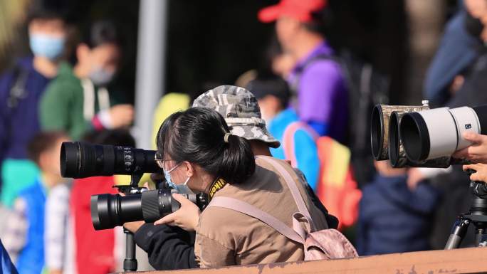 深圳湾湿地公园拍鸟的摄影人