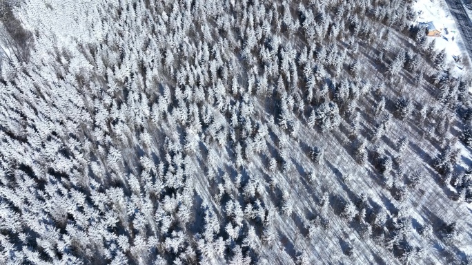 4K航拍雪山