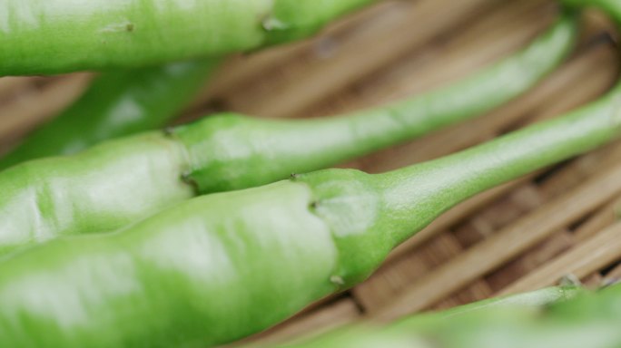 二荆条 辣椒青椒蔬菜