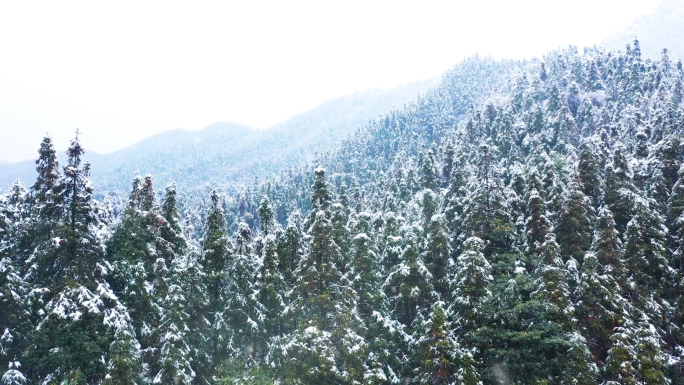 航拍山林深处雪景