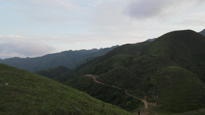 阳春鸡笼顶大草原