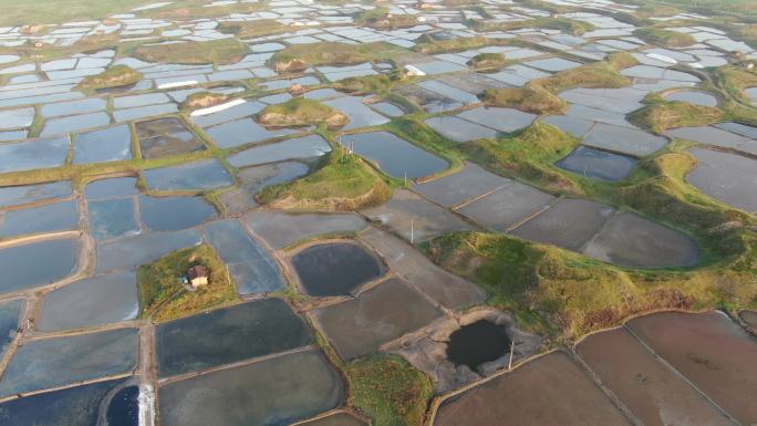 水田    沼泽  稻田