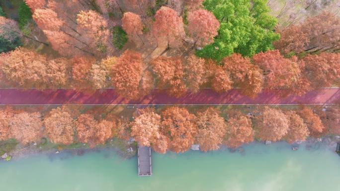 湖北武汉青山公园秋季航拍风光