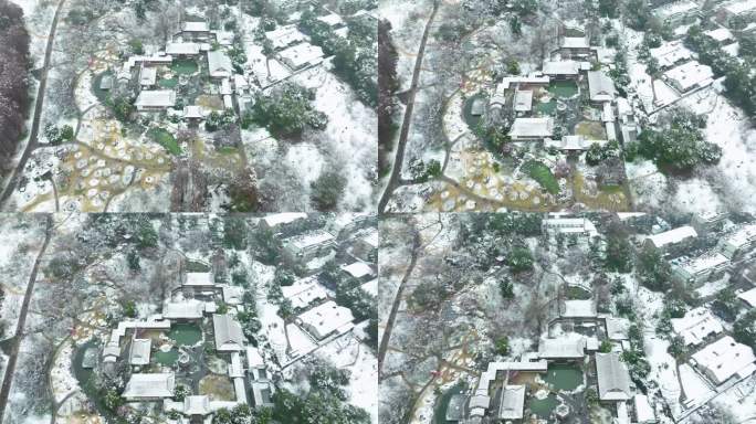 武汉东湖磨山梅园风景区航拍雪景风光
