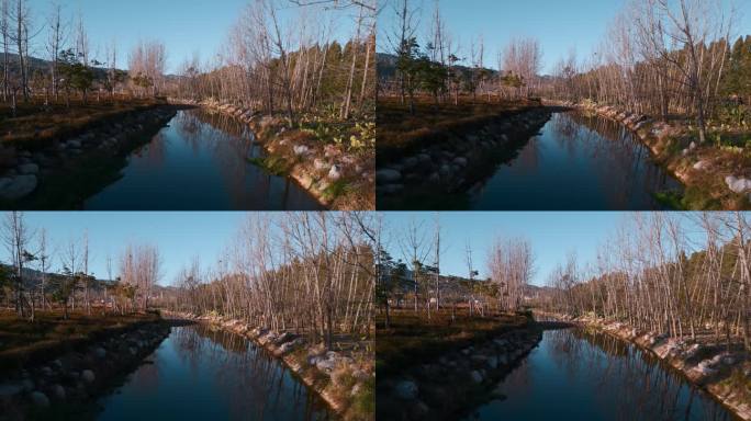 冬季小河边枯树清澈河水昆明入滇河道