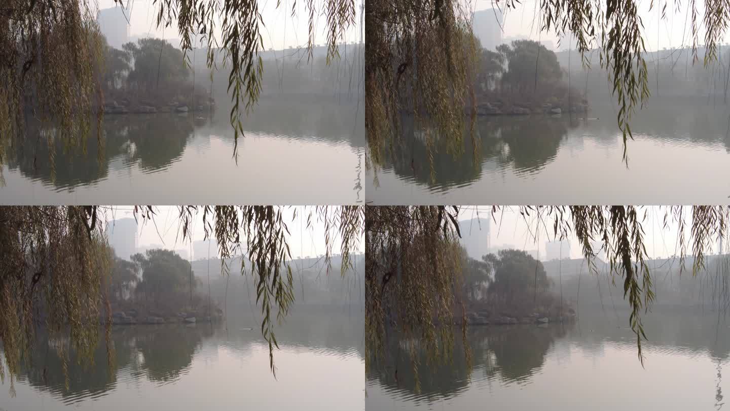 山东济南：秋天雾中小清河