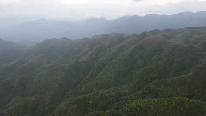 阳春鸡笼顶大草原