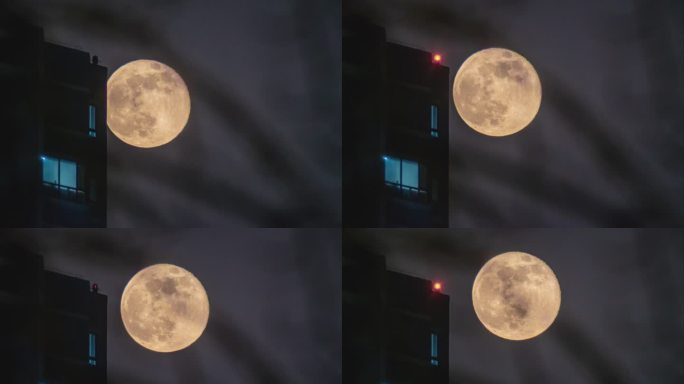 h.265实拍月亮延时树枝居民楼窗子月升