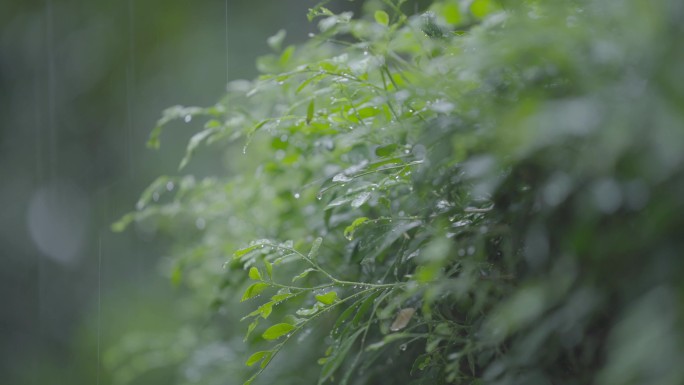 下雨天