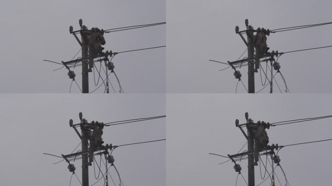 电工电线杆抢修电路修理工雨天安装电线电路