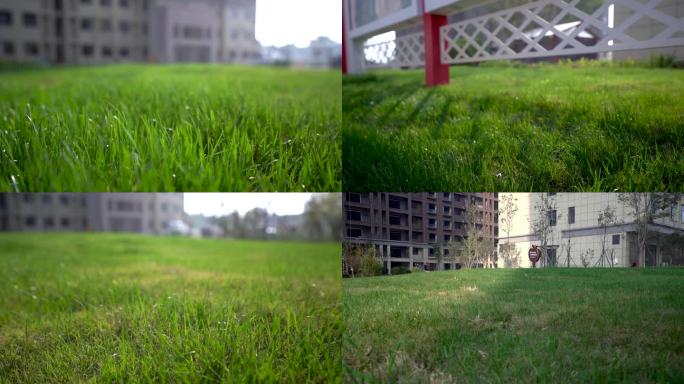 草坪A